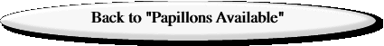 Back to "Papillons Available"